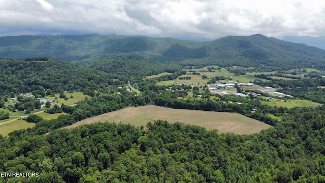 Cove Hollow Rd, Cosby, TN 37722
