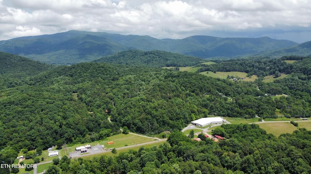 Cove Hollow Rd, Cosby, TN 37722