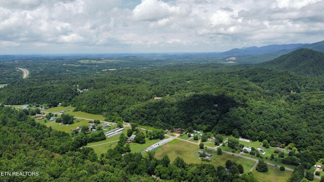 Cove Hollow Rd, Cosby, TN 37722