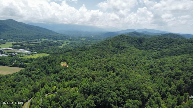 Cove Hollow Rd, Cosby, TN 37722
