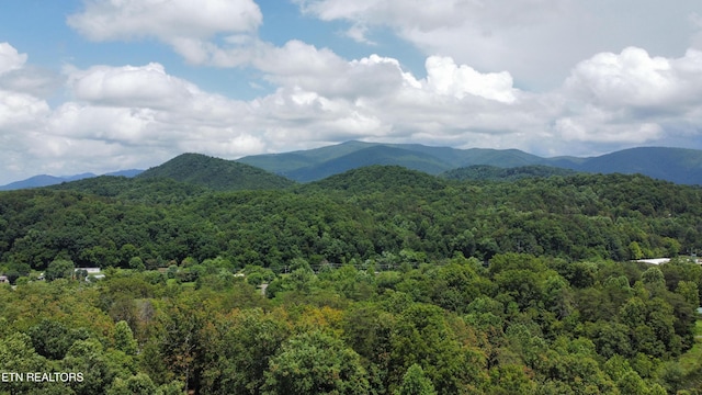 Cove Hollow Rd, Cosby, TN 37722