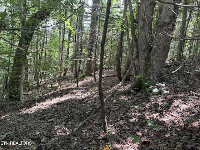 Cove Hollow Rd, Cosby, TN 37722