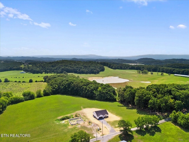 5817 Caldwell Rd, Loudon, TN 37774 - photo 41