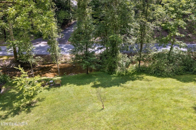 3014 N Clear Fork Rd, Sevierville, TN 37862 - view of grassy yard