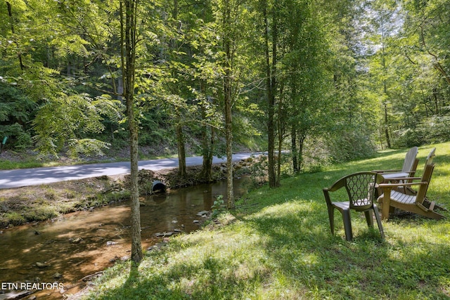 3014 N Clear Fork Rd, Sevierville, TN 37862 - view of yard with a wooded view