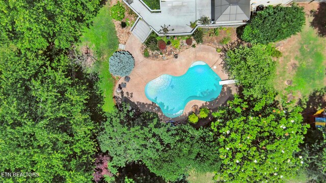 705 Lago Cir, Knoxville, TN 37922 - photo 39