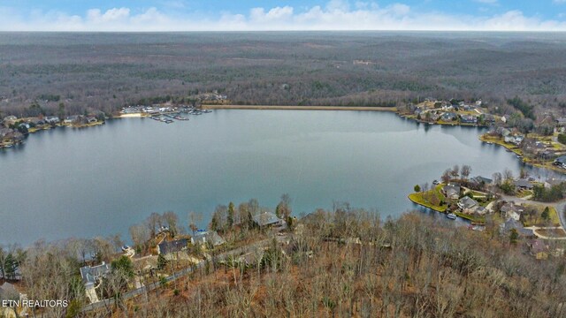 15 Quill Ct, Crossville, TN 38558 - photo 49