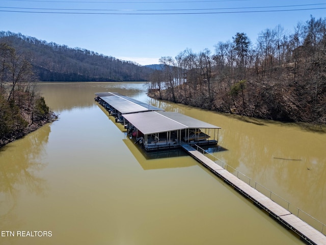 1340 Lakeview Dr, Sharps Chapel, TN 37866