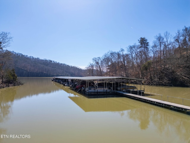 1340 Lakeview Dr, Sharps Chapel, TN 37866