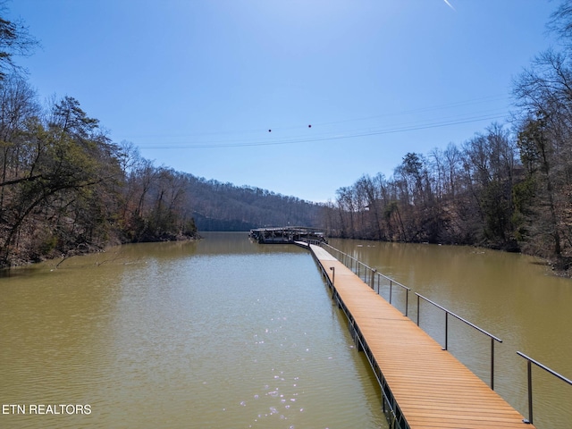 1340 Lakeview Dr, Sharps Chapel, TN 37866