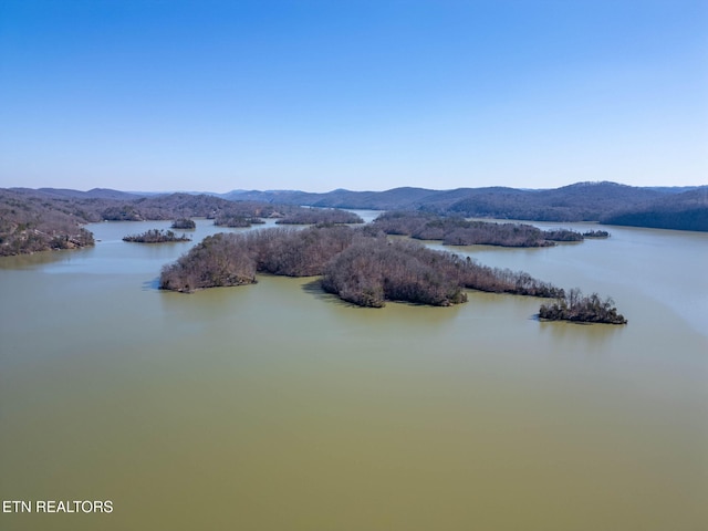 1340 Lakeview Dr, Sharps Chapel, TN 37866
