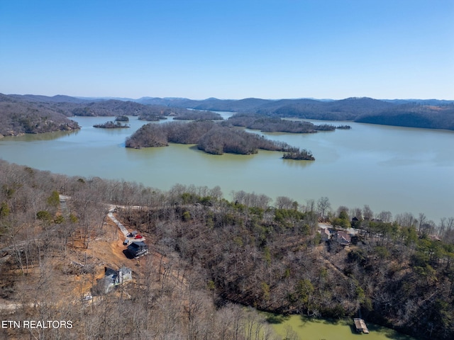 1340 Lakeview Dr, Sharps Chapel, TN 37866