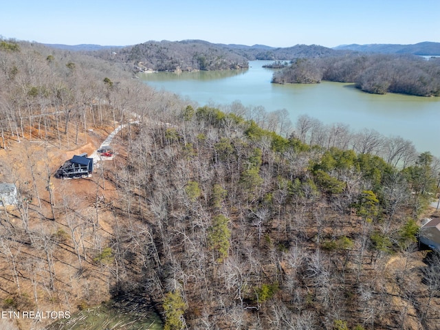 1340 Lakeview Dr, Sharps Chapel, TN 37866