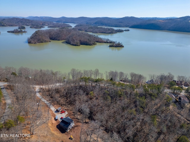 1340 Lakeview Dr, Sharps Chapel, TN 37866