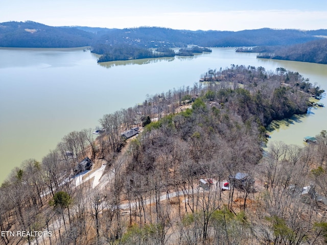1340 Lakeview Dr, Sharps Chapel, TN 37866