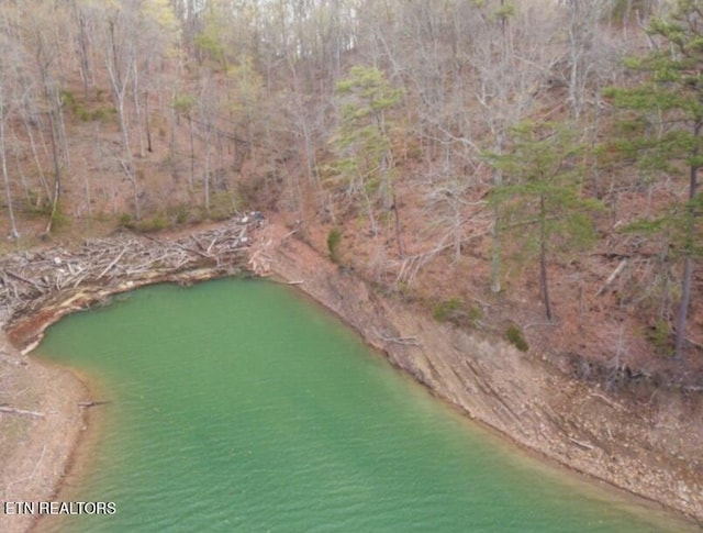 1340 Lakeview Dr, Sharps Chapel, TN 37866