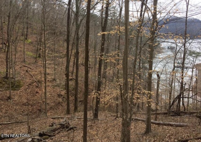 1340 Lakeview Dr, Sharps Chapel, TN 37866