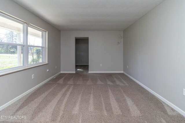 4719 Old Knoxville Hwy, Rockford, TN 37853 - photo 20
