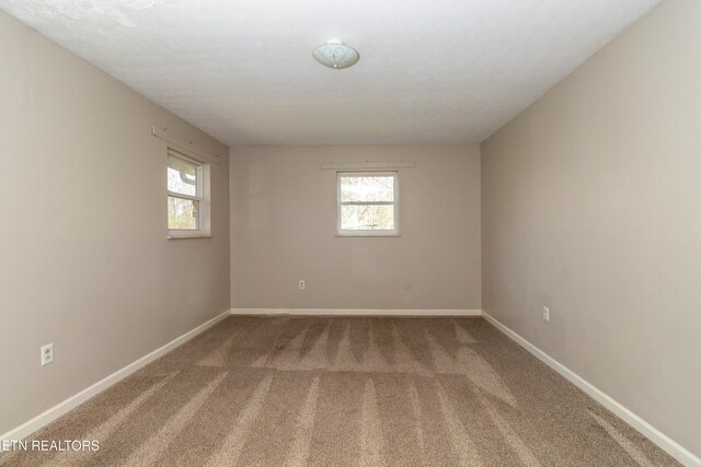 4719 Old Knoxville Hwy, Rockford, TN 37853 - photo 17