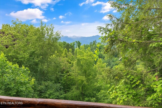 808 Great Smoky Way, Gatlinburg, TN 37738 - photo 40