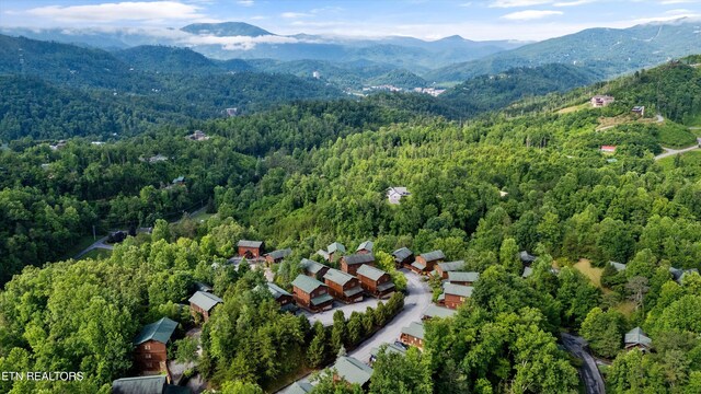 808 Great Smoky Way, Gatlinburg, TN 37738 - photo 41