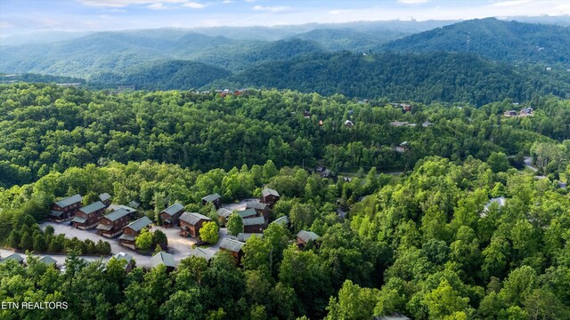 808 Great Smoky Way, Gatlinburg, TN 37738 - photo 42