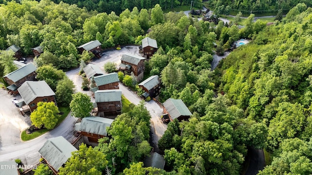 808 Great Smoky Way, Gatlinburg, TN 37738 - photo 43