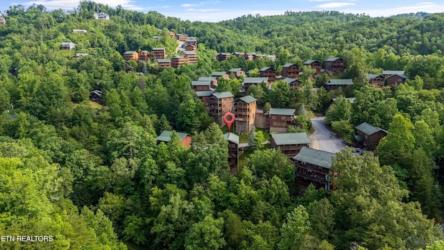 808 Great Smoky Way, Gatlinburg, TN 37738 - photo 44