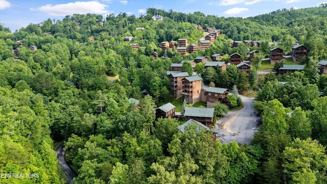 808 Great Smoky Way, Gatlinburg, TN 37738 - photo 45