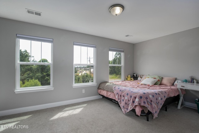 11944 Cordial Ln, Knoxville, TN 37932 - carpeted bedroom featuring baseboards