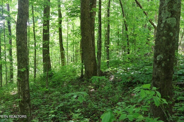 Crab Mountain Rd, Jamestown, TN 38556