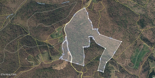 Crab Mountain Rd, Jamestown, TN 38556 - photo 16