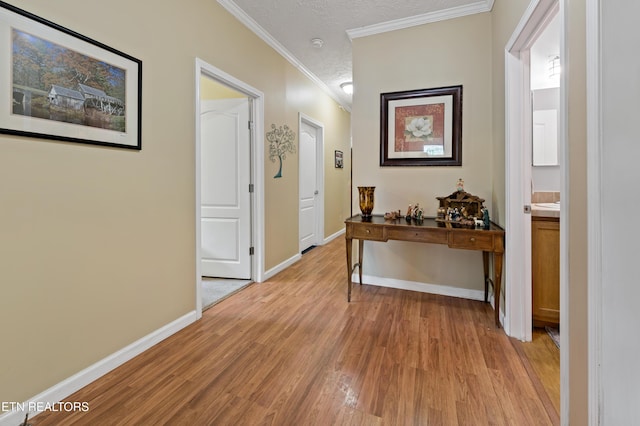 1914 Old Chilhowee Rd, Seymour, TN 37865 - hall with crown molding and light wood finished floors