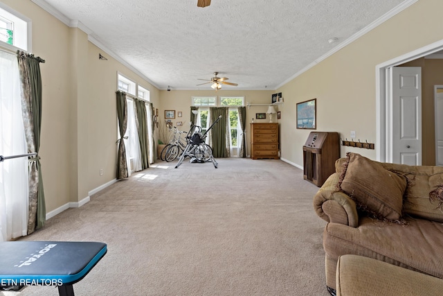 1914 Old Chilhowee Rd, Seymour, TN 37865 - living area featuring a ceiling fan, a textured ceiling, carpet, and ornamental molding