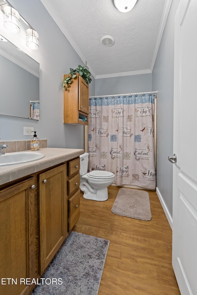 1914 Old Chilhowee Rd, Seymour, TN 37865 - bathroom with wood finished floors, vanity, a textured ceiling, ornamental molding, and a shower with curtain