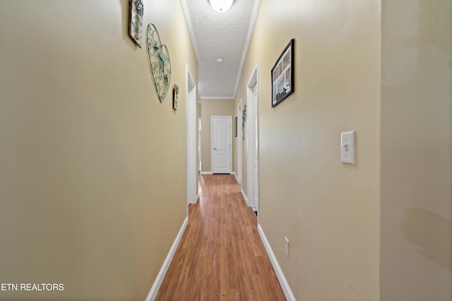 1914 Old Chilhowee Rd, Seymour, TN 37865 - corridor with light wood-style floors and a textured ceiling