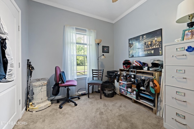 1914 Old Chilhowee Rd, Seymour, TN 37865 - office with crown molding and carpet