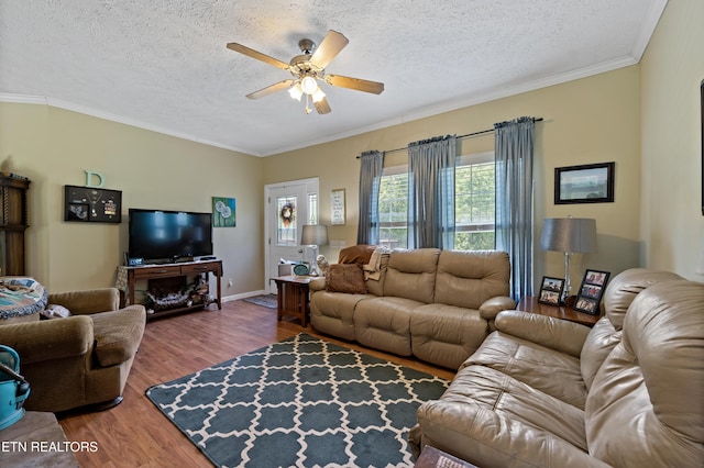 1914 Old Chilhowee Rd, Seymour, TN 37865 - living room featuring a ceiling fan, wood finished floors, crown molding, and a textured ceiling
