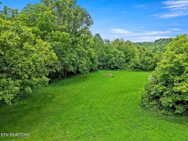 1914 Old Chilhowee Rd, Seymour, TN 37865 - view of green lawn with a view of trees