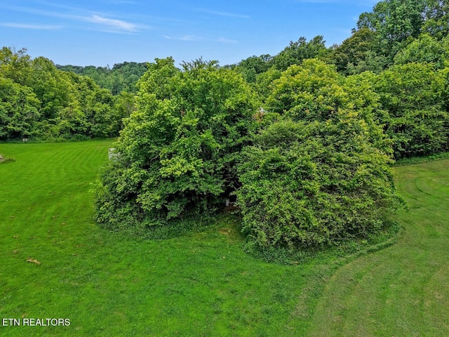 1914 Old Chilhowee Rd, Seymour, TN 37865 - view of woods