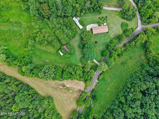 1914 Old Chilhowee Rd, Seymour, TN 37865 - aerial view of property's location