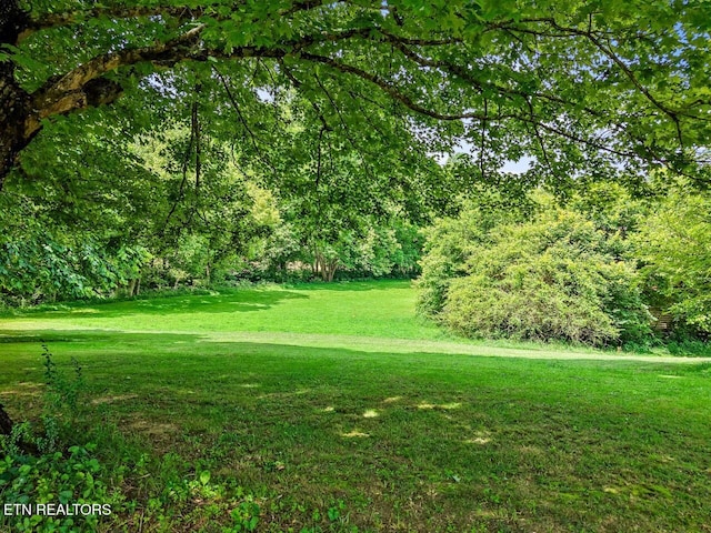 1914 Old Chilhowee Rd, Seymour, TN 37865 - view of green lawn