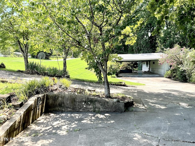 3505 Hackworth Rd, Knoxville, TN 37931 - view of green lawn featuring concrete driveway and a carport