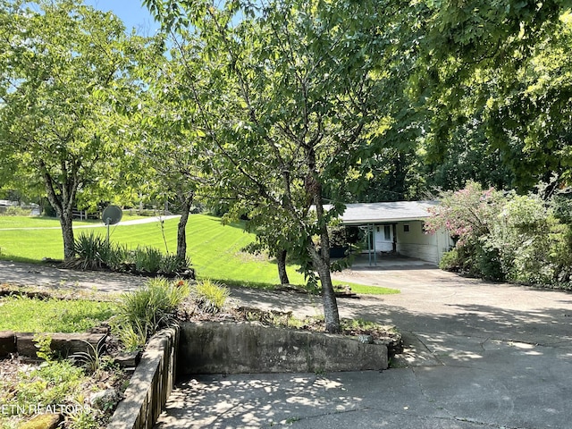3505 Hackworth Rd, Knoxville, TN 37931 - view of front of home featuring driveway, a front yard, and an attached carport
