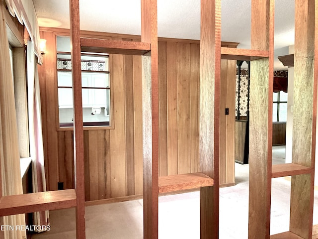 3505 Hackworth Rd, Knoxville, TN 37931 - detailed view of wood walls and carpet floors