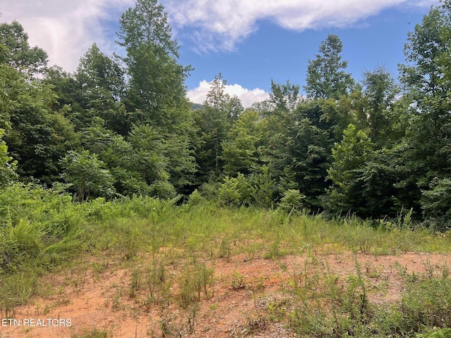 Boatland Rd, Jamestown, TN 38556