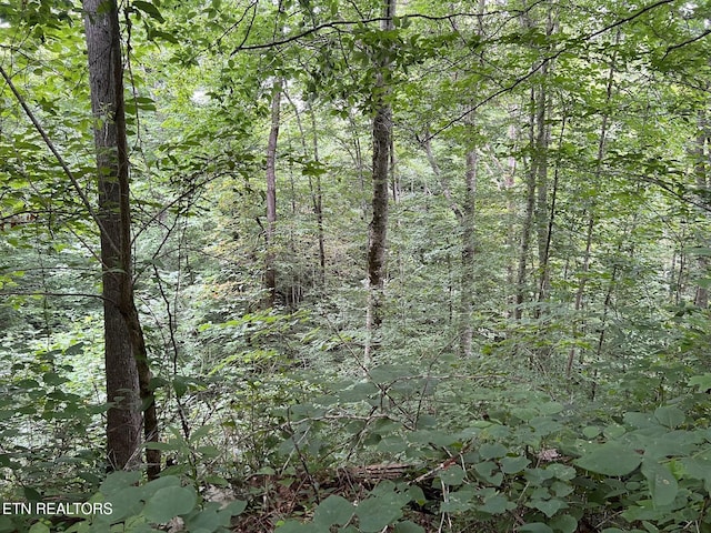 Boatland Rd, Jamestown, TN 38556