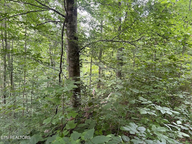 Boatland Rd, Jamestown, TN 38556