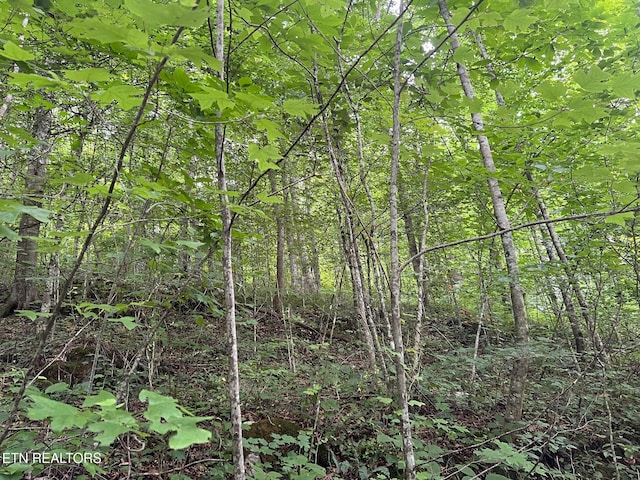 Boatland Rd, Jamestown, TN 38556