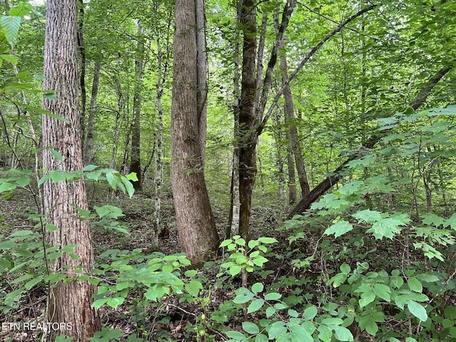 Boatland Rd, Jamestown, TN 38556